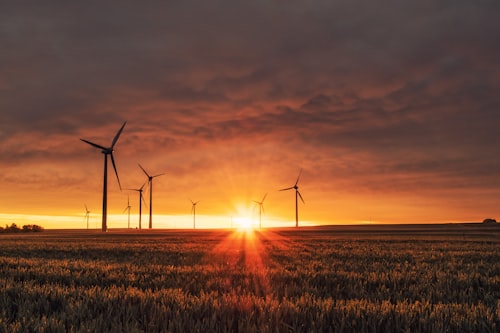 Wind turbines sunset sky